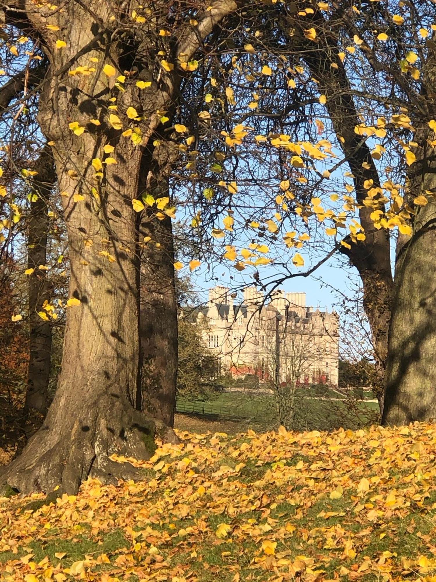 Oak Tree Cottage Stoke Rochford ภายนอก รูปภาพ